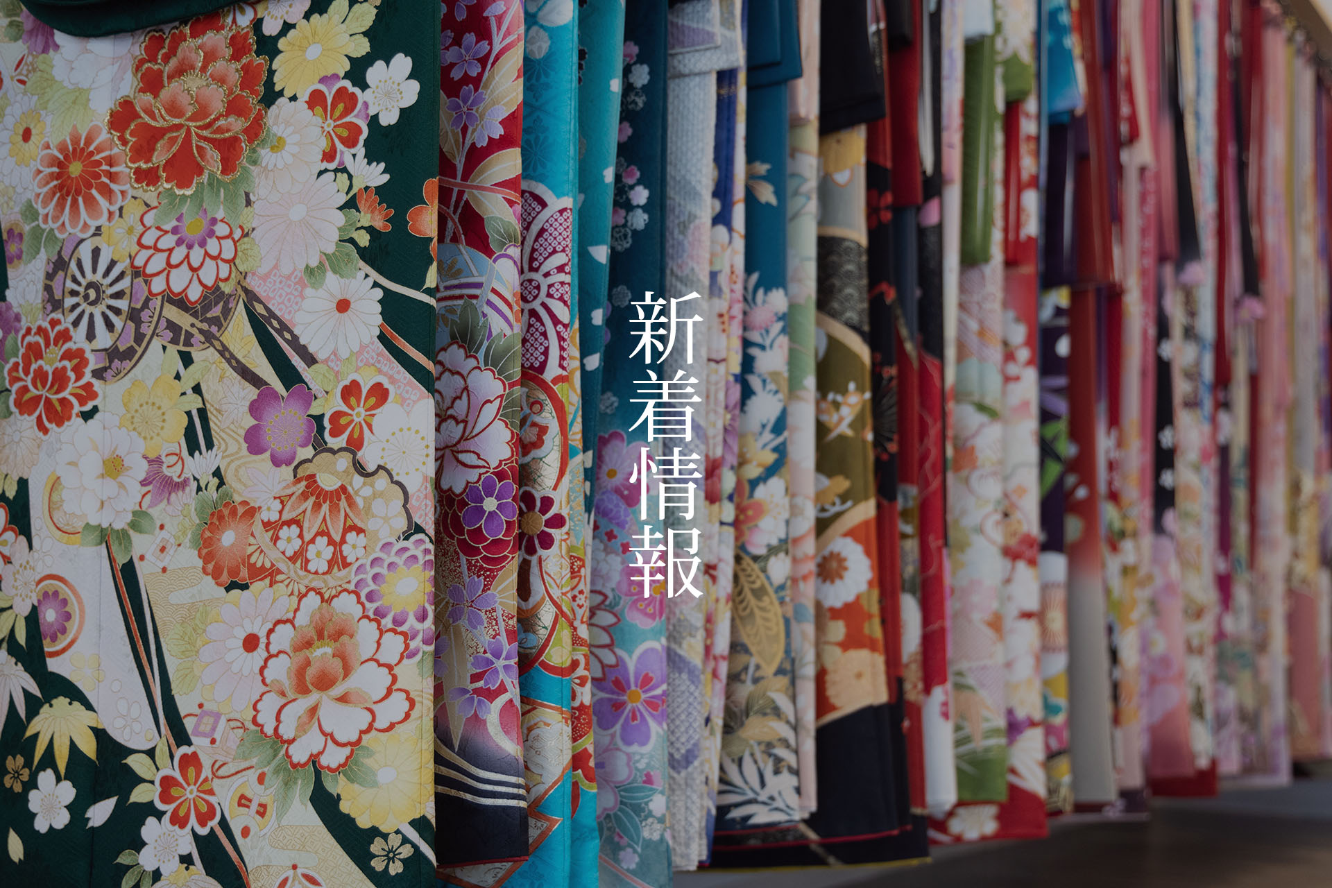 新着情報